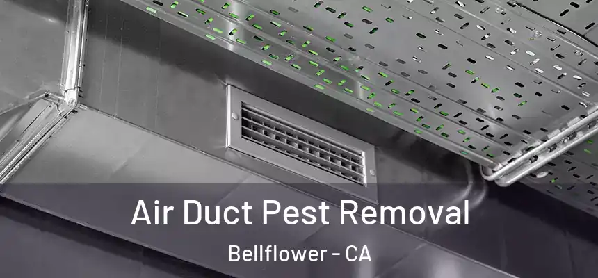 Air Duct Pest Removal Bellflower - CA
