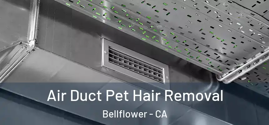 Air Duct Pet Hair Removal Bellflower - CA