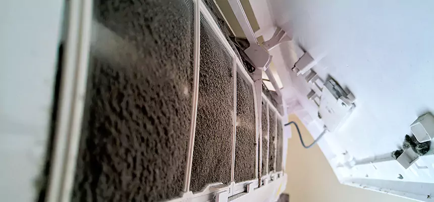 Preventive Air Duct Bacteria Removal in Bellflower