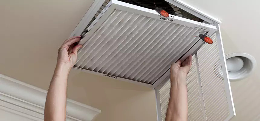 Preventive Cockroach-Proofing for Ducts in Bellflower