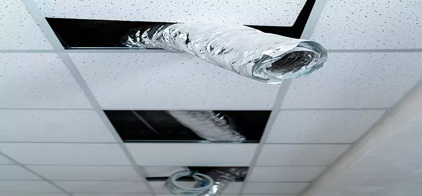 Affordable HVAC Sanitizing After Pest Removal in Bellflower