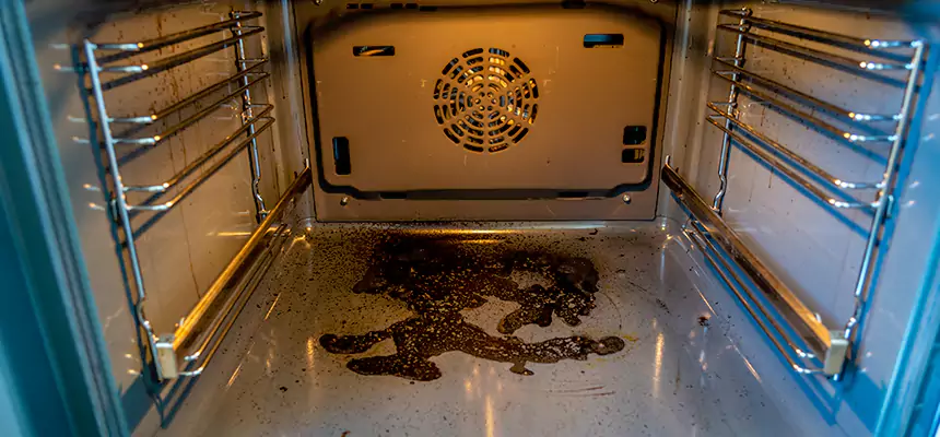 Our Dryer Vent Mold Cleaning Services in Bellflower, CA