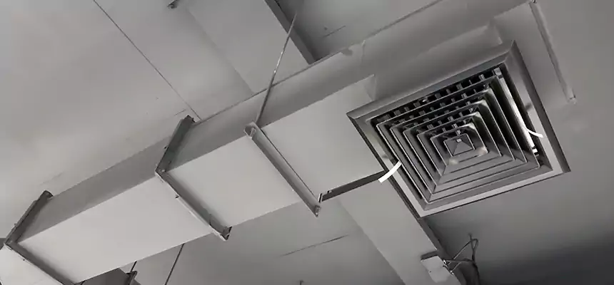 Our Rodent Droppings In Vents Services in Bellflower, CA