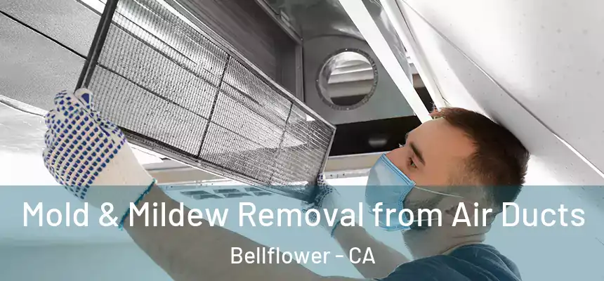 Mold & Mildew Removal from Air Ducts Bellflower - CA