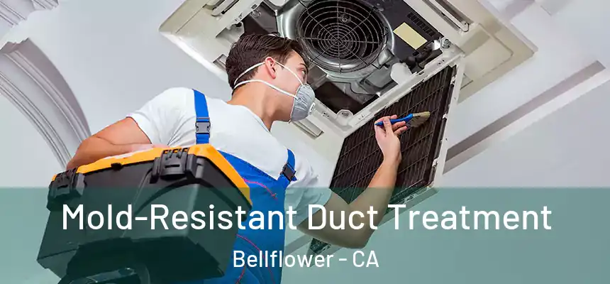 Mold-Resistant Duct Treatment Bellflower - CA