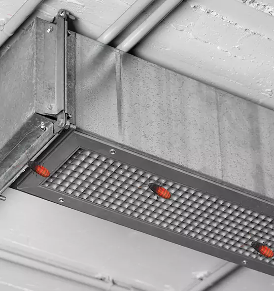 About Air Duct Cockroach Removal in Bellflower, CA