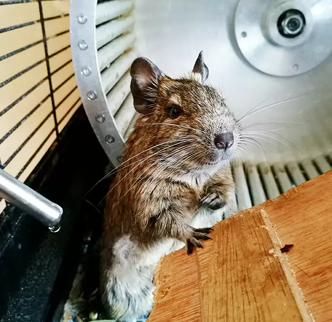 Why Homeowners & Businesses Trust Us Bellflower, CA