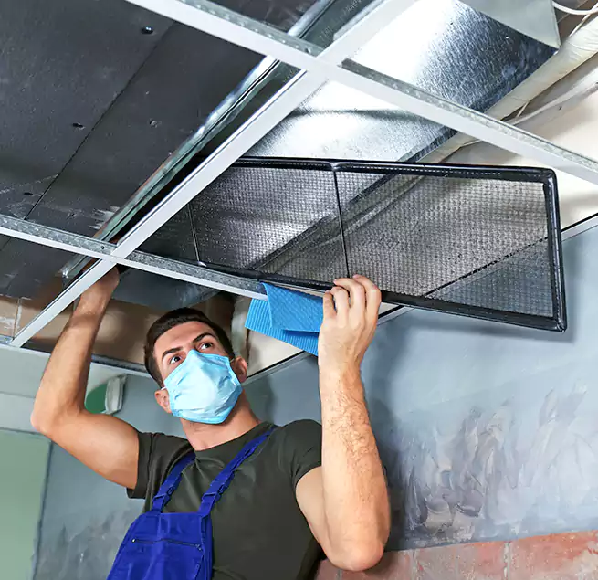 Why Homeowners Businesses Trust Us in Bellflower, CA