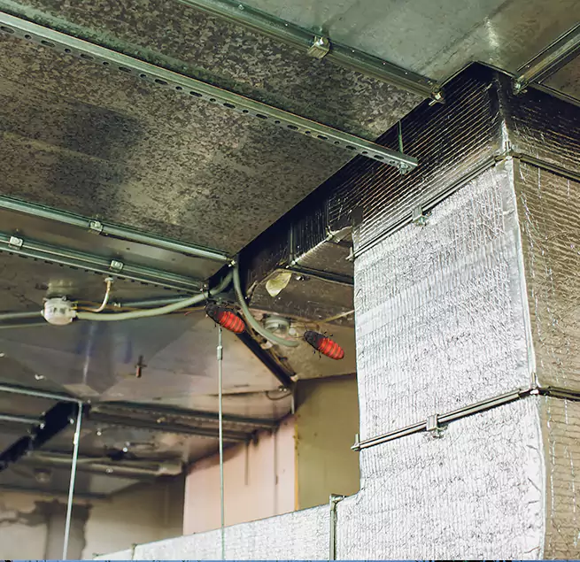 Why Homeowners & Businesses Trust Us Bellflower, CA?